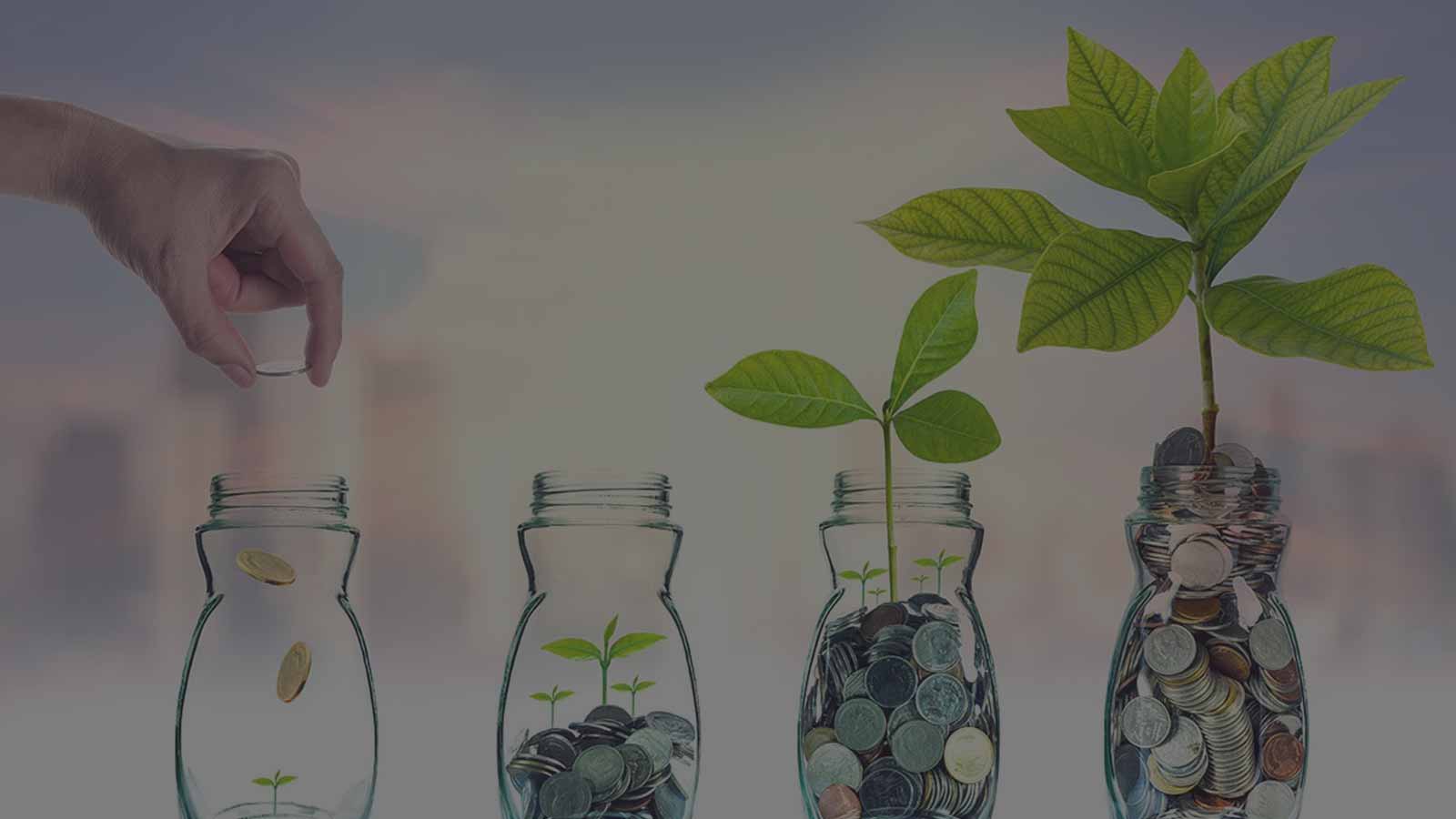 Apply Easy Loan